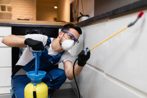 Best Local Pest Control Services  in La Center, WA