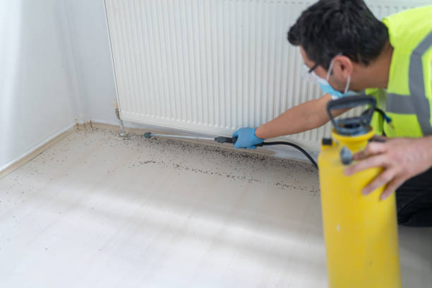 Best Pest Inspection Near Me  in La Center, WA